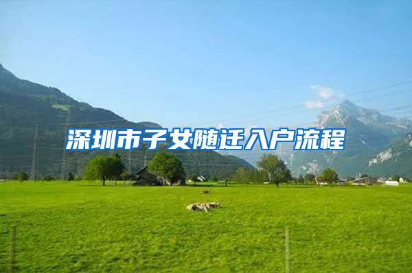 深圳市子女随迁入户流程