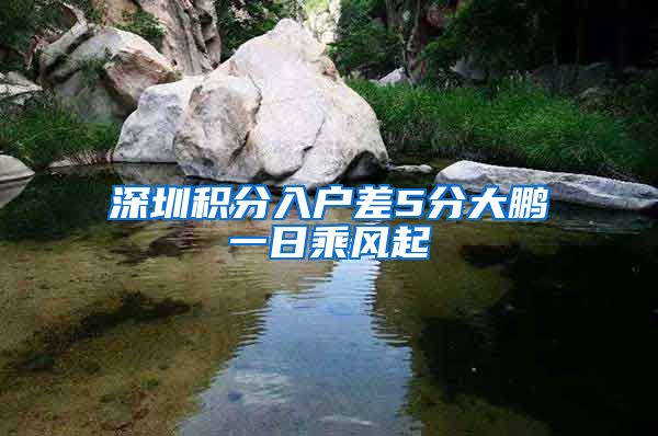深圳积分入户差5分大鹏一日乘风起