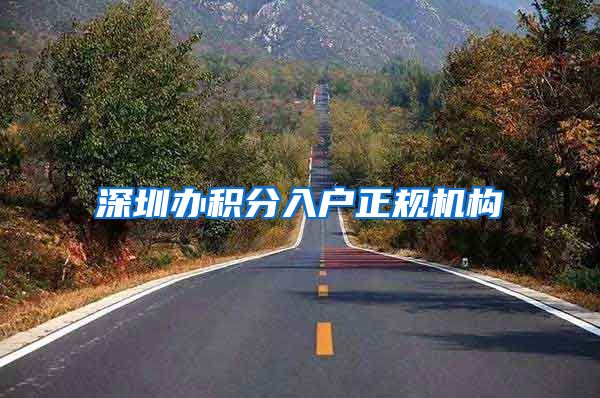 深圳办积分入户正规机构