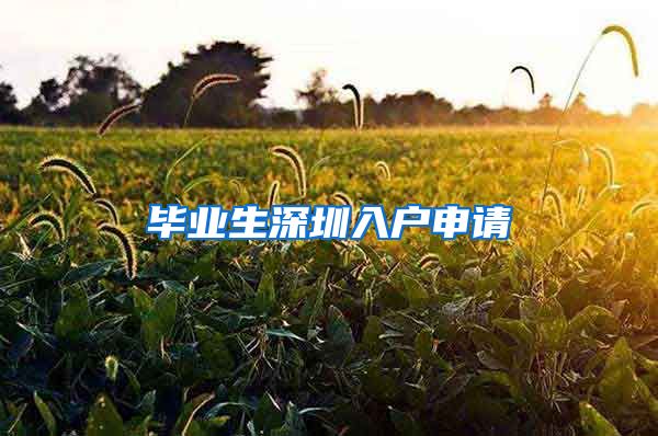毕业生深圳入户申请