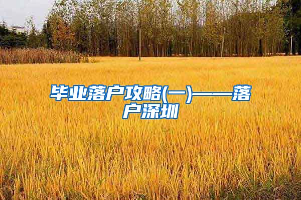 毕业落户攻略(一)——落户深圳