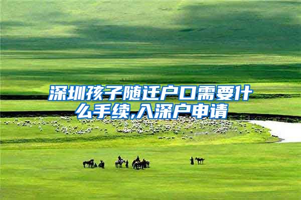 深圳孩子随迁户口需要什么手续,入深户申请