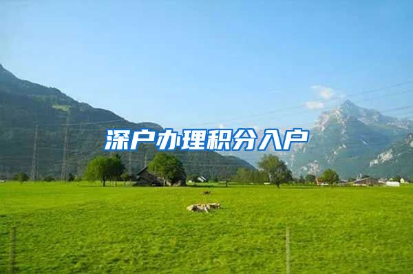深户办理积分入户