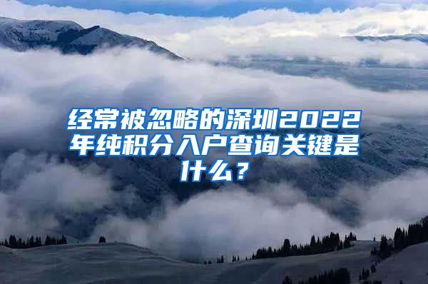 经常被忽略的深圳2022年纯积分入户查询关键是什么？