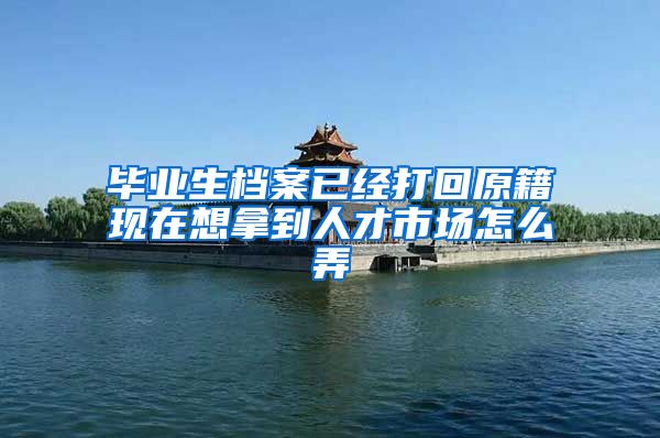 毕业生档案已经打回原籍现在想拿到人才市场怎么弄