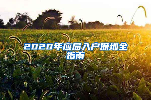 2020年应届入户深圳全指南