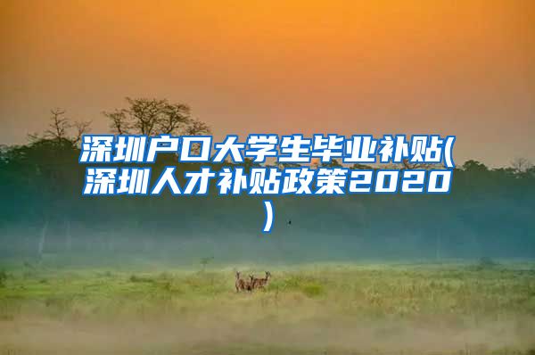 深圳户口大学生毕业补贴(深圳人才补贴政策2020)