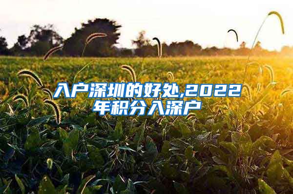 入户深圳的好处,2022年积分入深户