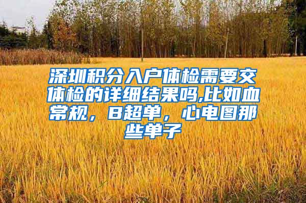深圳积分入户体检需要交体检的详细结果吗,比如血常规，B超单，心电图那些单子