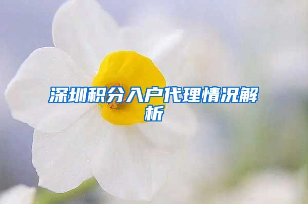 深圳积分入户代理情况解析