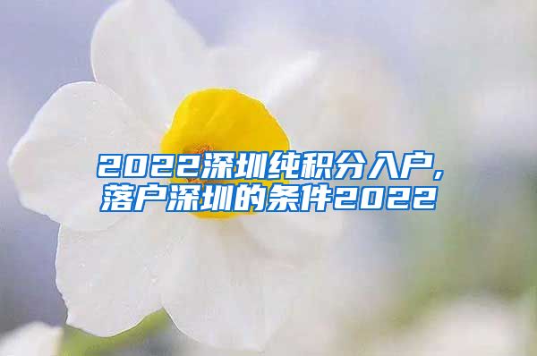 2022深圳纯积分入户,落户深圳的条件2022