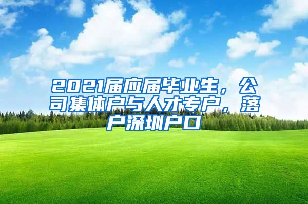 2021届应届毕业生，公司集体户与人才专户，落户深圳户口
