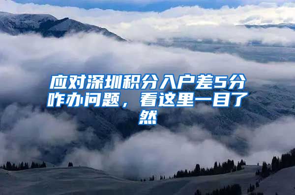 应对深圳积分入户差5分咋办问题，看这里一目了然