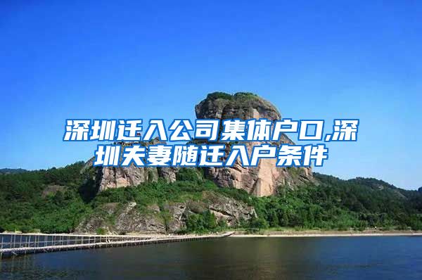 深圳迁入公司集体户口,深圳夫妻随迁入户条件