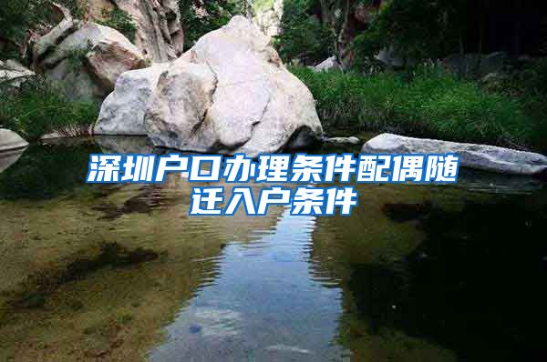 深圳户口办理条件配偶随迁入户条件