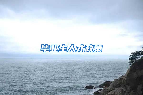 毕业生人才政策