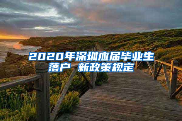 2020年深圳应届毕业生落户 新政策规定
