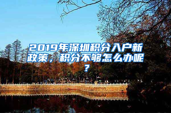 2019年深圳积分入户新政策，积分不够怎么办呢？