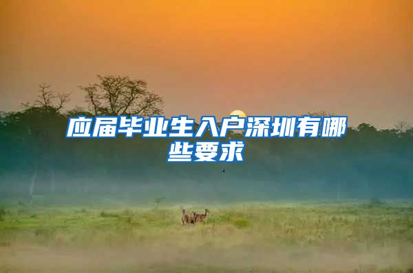 应届毕业生入户深圳有哪些要求