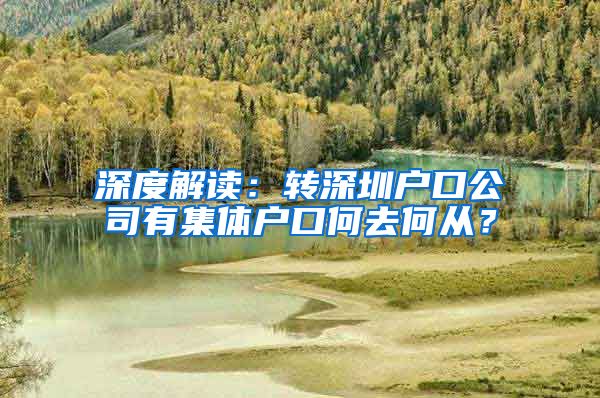 深度解读：转深圳户口公司有集体户口何去何从？