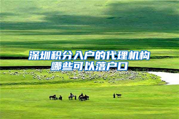 深圳积分入户的代理机构哪些可以落户口