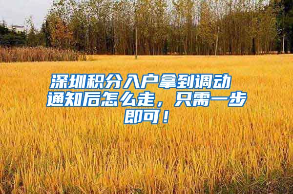 深圳积分入户拿到调动 通知后怎么走，只需一步即可！