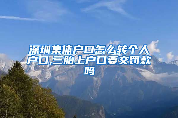 深圳集体户口怎么转个人户口,三胎上户口要交罚款吗