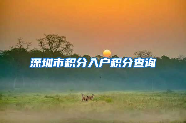 深圳市积分入户积分查询