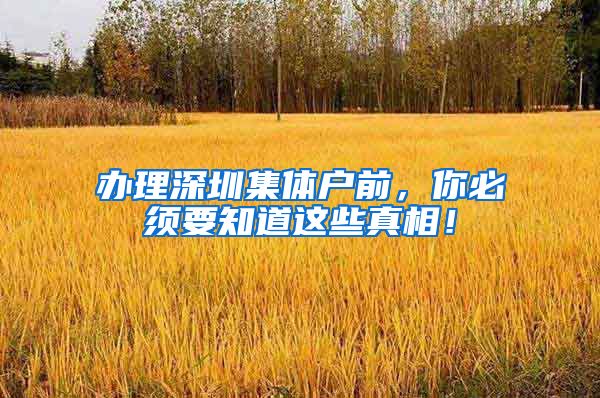 办理深圳集体户前，你必须要知道这些真相！