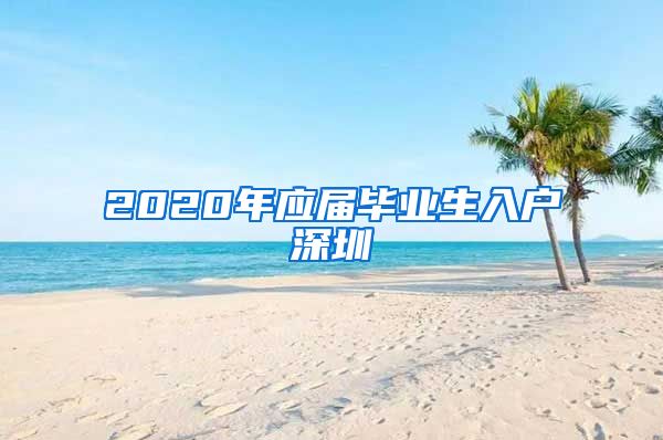 2020年应届毕业生入户深圳
