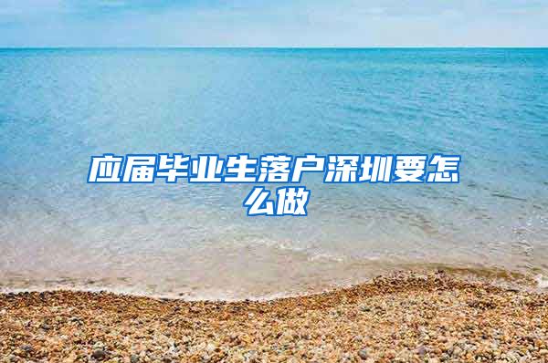应届毕业生落户深圳要怎么做