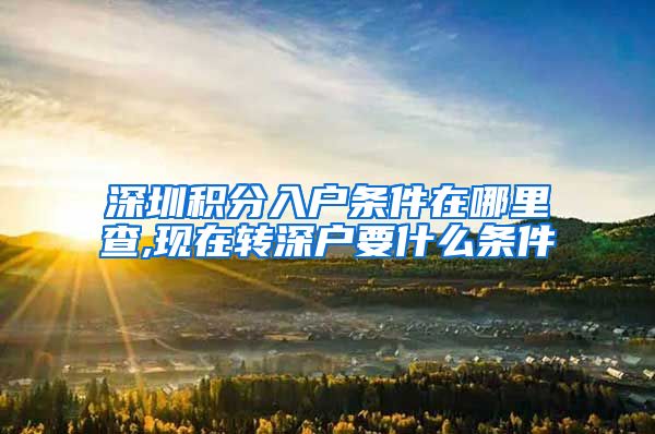 深圳积分入户条件在哪里查,现在转深户要什么条件