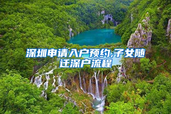 深圳申请入户预约,子女随迁深户流程