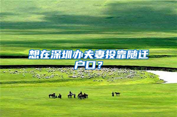 想在深圳办夫妻投靠随迁户口？