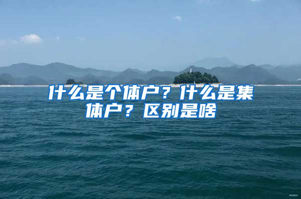 什么是个体户？什么是集体户？区别是啥