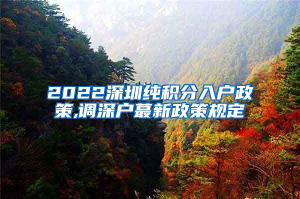 2022深圳纯积分入户政策,调深户蕞新政策规定