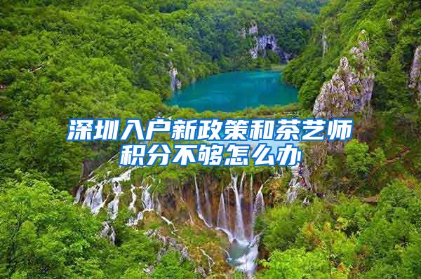 深圳入户新政策和茶艺师积分不够怎么办