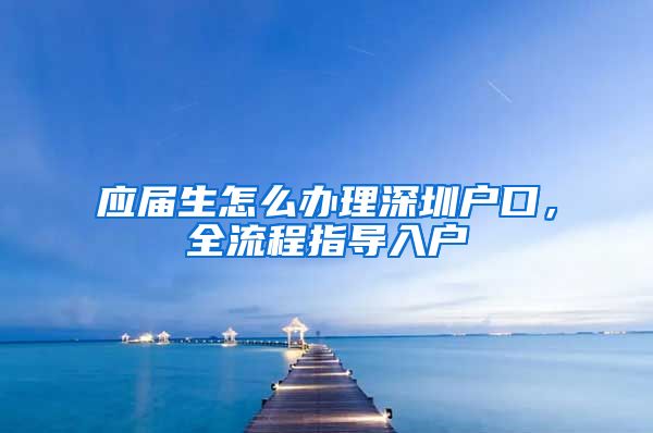 应届生怎么办理深圳户口，全流程指导入户
