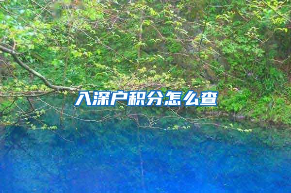 入深户积分怎么查