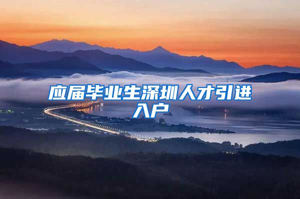 应届毕业生深圳人才引进入户
