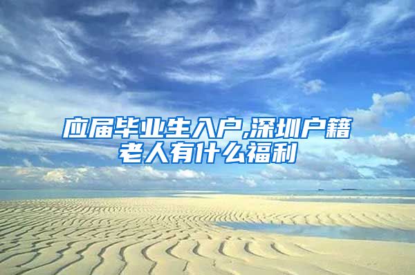 应届毕业生入户,深圳户籍老人有什么福利