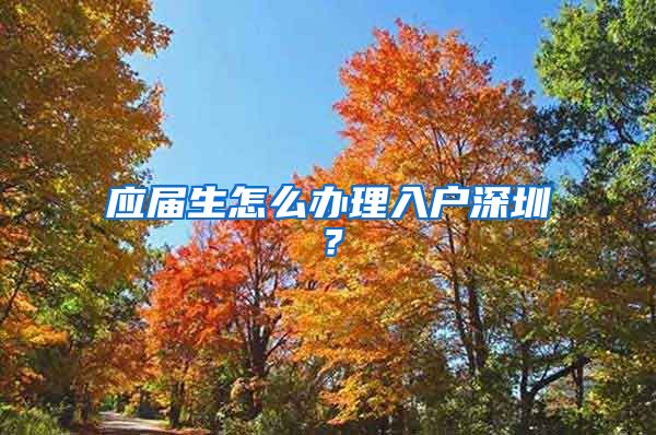 应届生怎么办理入户深圳？
