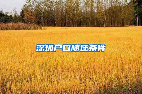 深圳户口随迁条件