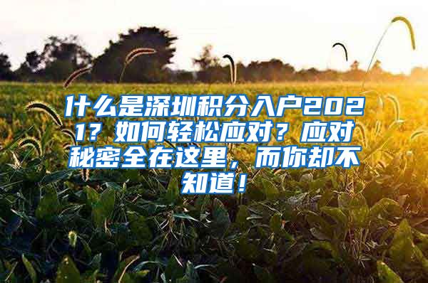 什么是深圳积分入户2021？如何轻松应对？应对秘密全在这里，而你却不知道！