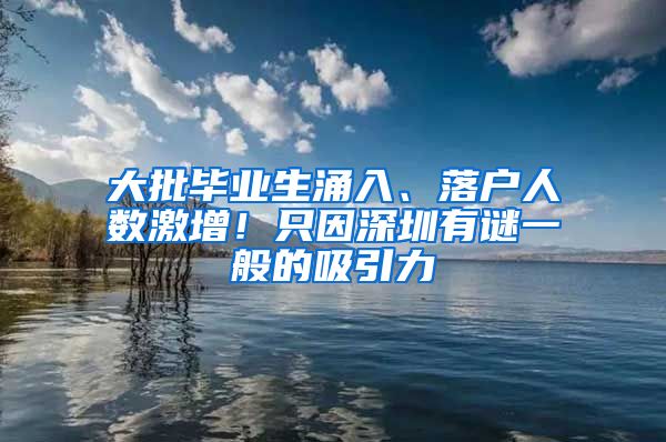 大批毕业生涌入、落户人数激增！只因深圳有谜一般的吸引力
