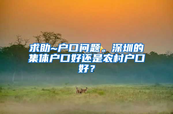 求助~户口问题。深圳的集体户口好还是农村户口好？