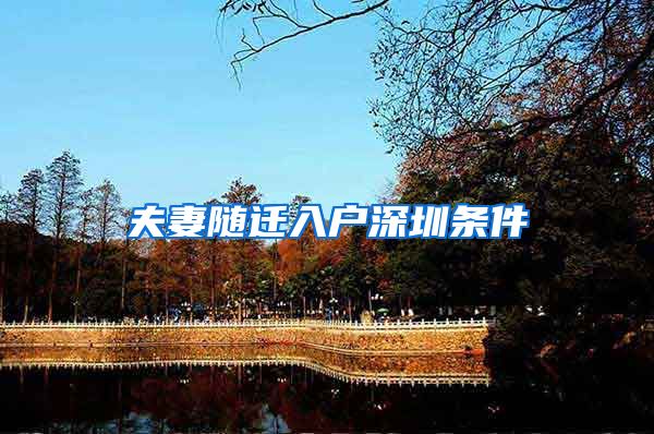 夫妻随迁入户深圳条件
