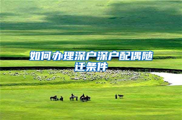 如何办理深户深户配偶随迁条件