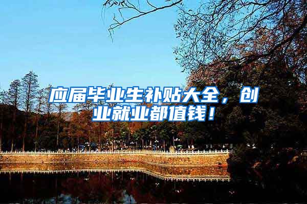 应届毕业生补贴大全，创业就业都值钱！