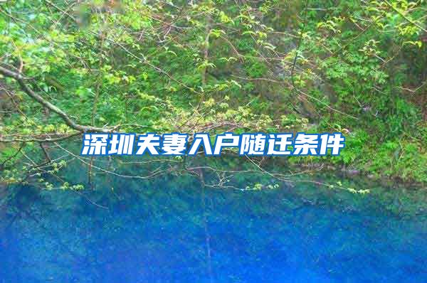 深圳夫妻入户随迁条件